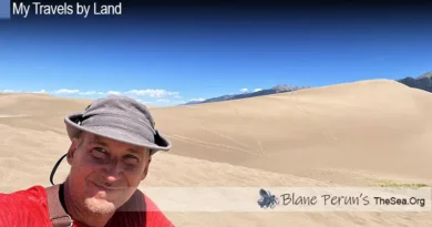 Colorado Sand Dunes Blane Peruns TheSea.Org