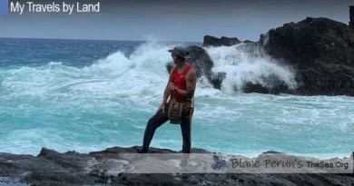 Hawaii Maui Blane Peruns TheSea.Org