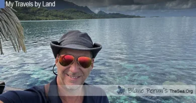 Raiatea Tahiti Blane Peruns TheSea.Org