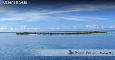 The Ocean is The Earths Greatest Source of Oxygen Blane Peruns TheSea.Org